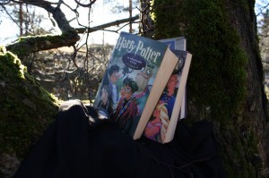 Harry Potter -kirjoja